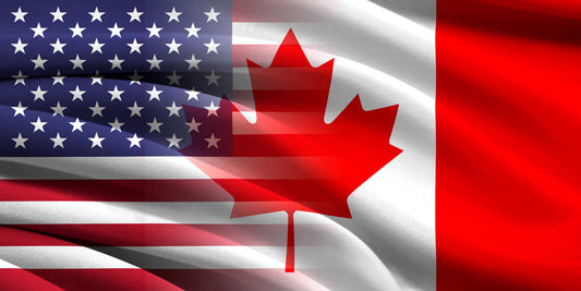 Private Consultation with US/ Canadian Immigration Lawyer